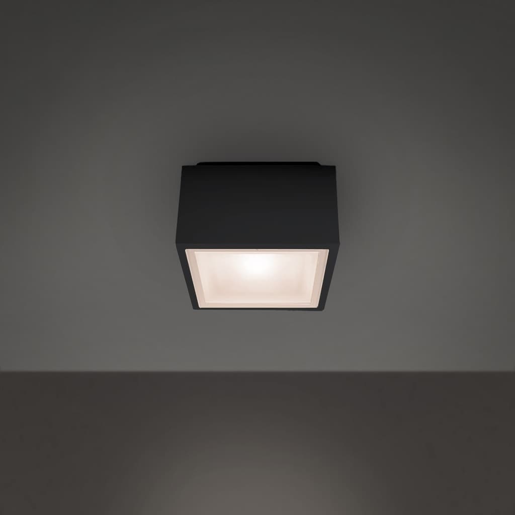 Modern Forms Bloc