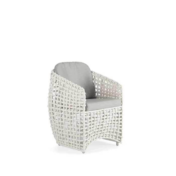 Skyline Design Dynasty Dining Armchair With Cushion