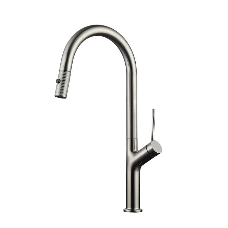 DAX Single Handle Pull Out Kitchen Faucet