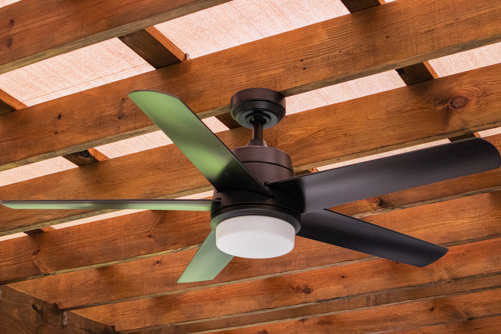 Miami Shores Estate - Photo 5